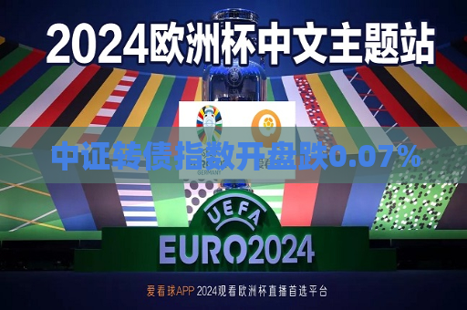 中证转债指数开盘跌0.07%  第1张