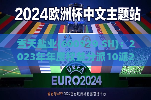 雪天盐业(600929.SH)：2023年年度权益分派10派2元  第1张