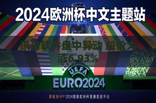 讯鸟软件盘中异动 股价大涨6.93%