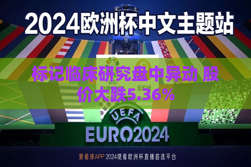 标记临床研究盘中异动 股价大跌5.36%  第1张