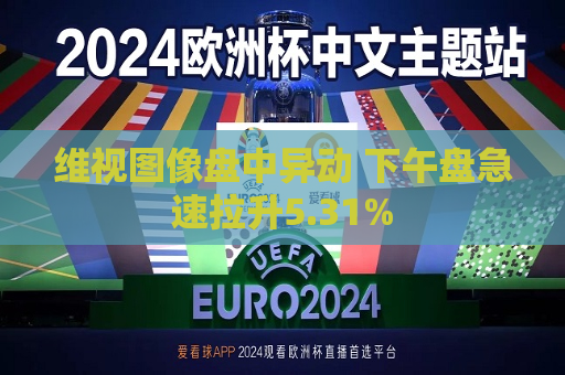 维视图像盘中异动 下午盘急速拉升5.31%