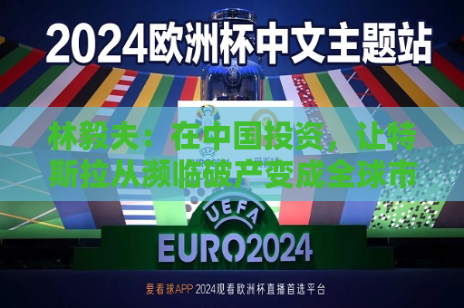 林毅夫：在中国投资，让特斯拉从濒临破产变成全球市值更高车企