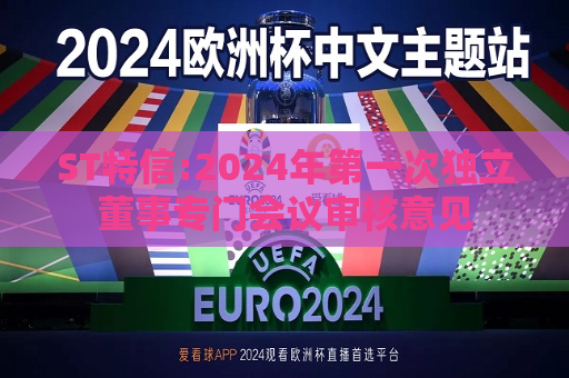 ST特信:2024年之一次独立董事专门会议审核意见  第1张