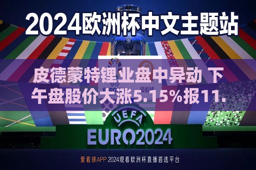 皮德蒙特锂业盘中异动 下午盘股价大涨5.15%报11.84美元  第1张