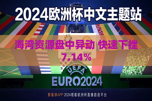 海湾资源盘中异动 快速下挫7.14%