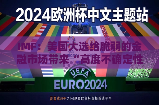 IMF：美国大选给脆弱的金融市场带来“高度不确定性” 或令8月抛售重演