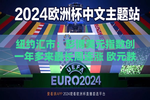 纽约汇市：彭博美元指数创一年多来最长周连涨 欧元跌至两年低点