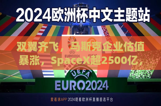双翼齐飞，马斯克企业估值暴涨，SpaceX超2500亿，xAI达450亿