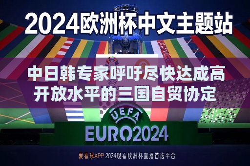 中日韩专家呼吁尽快达成高开放水平的三国自贸协定  第1张