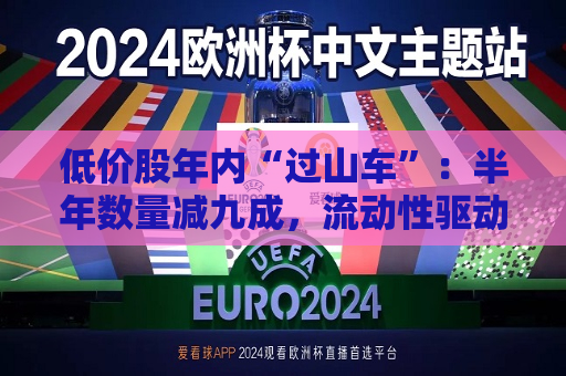 低价股年内“过山车”：半年数量减九成，流动性驱动个股狂飙