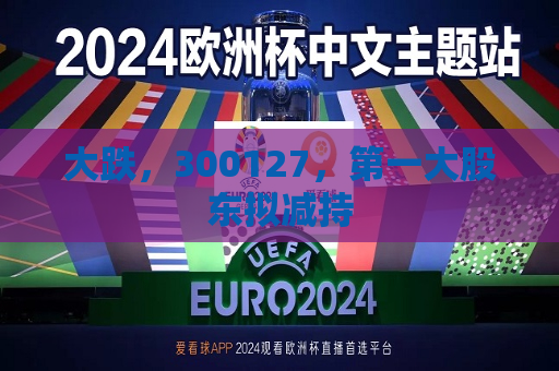 大跌，300127，之一大股东拟减持