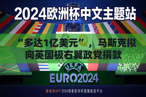 “多达1亿美元”，马斯克拟向英国极右翼政党捐款  第1张