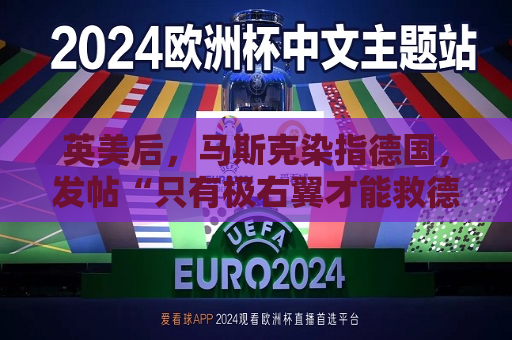 英美后，马斯克染指德国，发帖“只有极右翼才能救德国”  第1张
