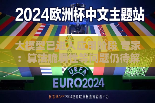 大模型已进入应用阶段 专家：算法脆弱性等问题仍待解