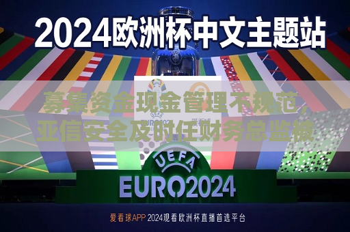 募集资金现金管理不规范，亚信安全及时任财务总监被上交所予以监管警示