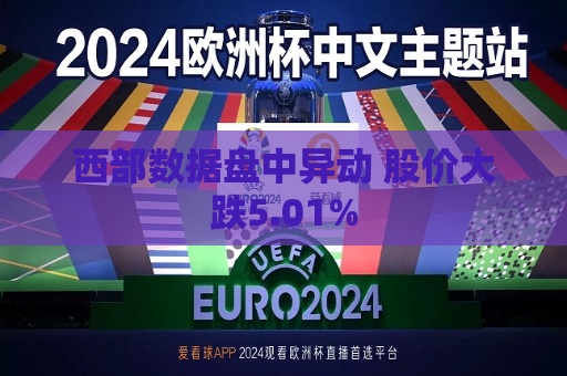 西部数据盘中异动 股价大跌5.01%