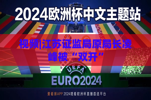 视频|江苏证监局原局长凌峰被“双开”