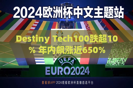 Destiny Tech100跌超10% 年内飙涨近650%