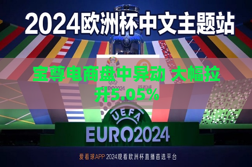 宝尊电商盘中异动 大幅拉升5.05%