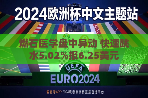 燃石医学盘中异动 快速跳水5.02%报6.25美元  第1张