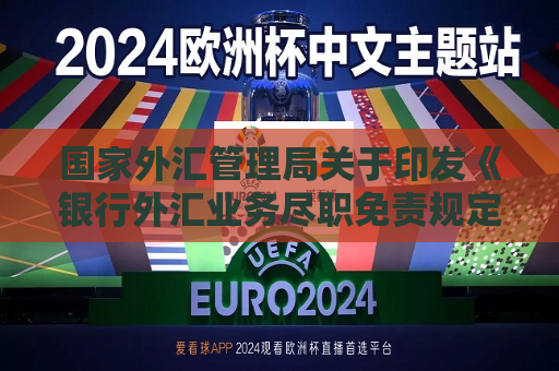 国家外汇管理局关于印发《银行外汇业务尽职免责规定（试行）》的通知