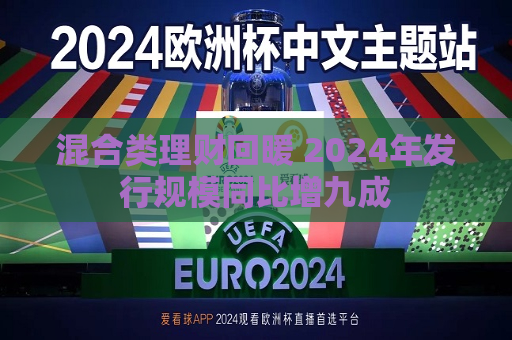 混合类理财回暖 2024年发行规模同比增九成