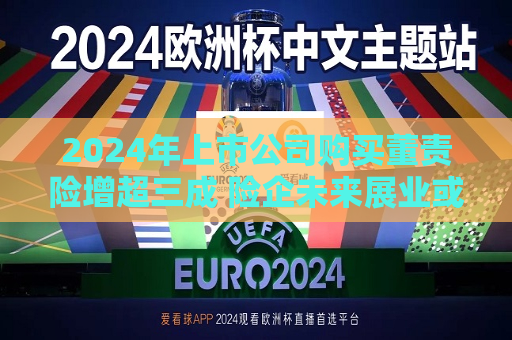 2024年上市公司购买董责险增超三成 险企未来展业或更趋审慎  第1张