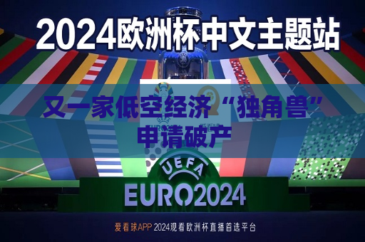 又一家低空经济“独角兽”申请破产