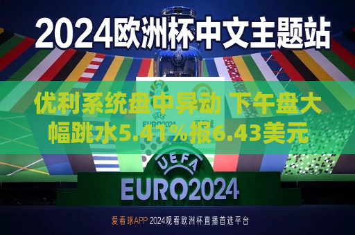 优利系统盘中异动 下午盘大幅跳水5.41%报6.43美元