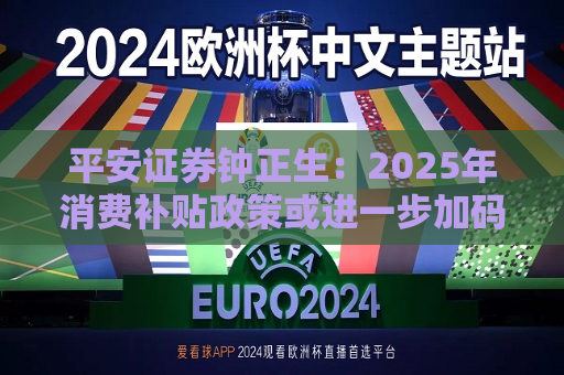 平安证券钟正生：2025年消费补贴政策或进一步加码 政策力度和支持范围双扩容