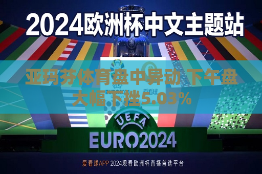 亚玛芬体育盘中异动 下午盘大幅下挫5.03%