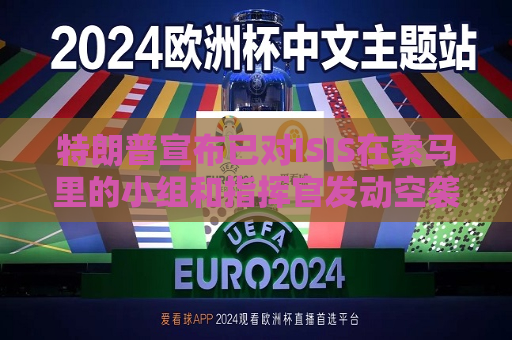 特朗普宣布已对ISIS在索马里的小组和指挥官发动空袭