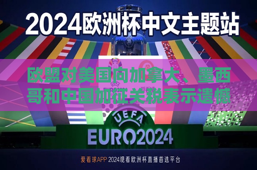 欧盟对美国向加拿大、墨西哥和中国加征关税表示遗憾  第1张
