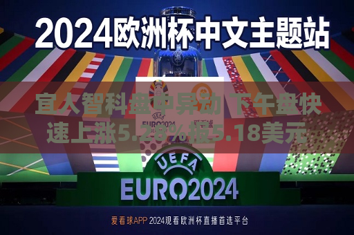 宜人智科盘中异动 下午盘快速上涨5.28%报5.18美元