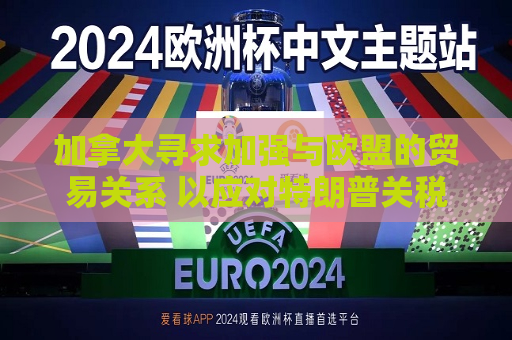 加拿大寻求加强与欧盟的贸易关系 以应对特朗普关税威胁