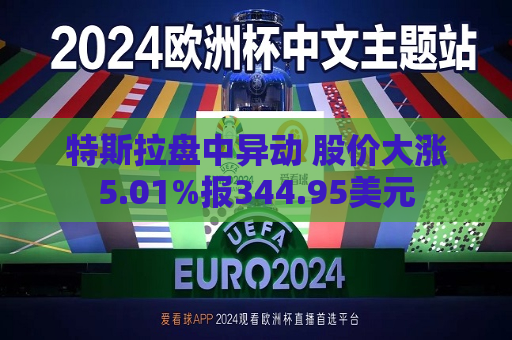 特斯拉盘中异动 股价大涨5.01%报344.95美元