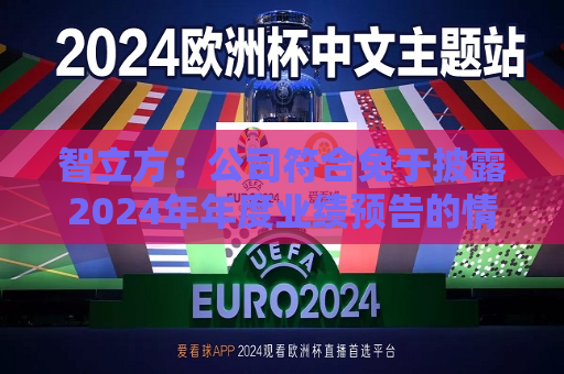 智立方：公司符合免于披露2024年年度业绩预告的情形