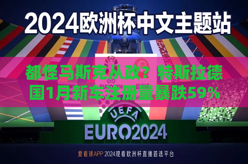 都怪马斯克从政？特斯拉德国1月新车注册量暴跌59%