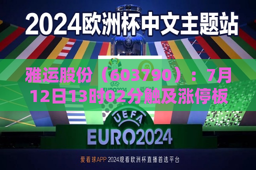 雅运股份（603790）：7月12日13时02分触及涨停板  第1张