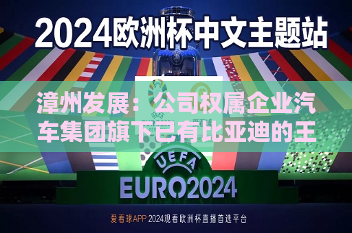 漳州发展：公司权属企业汽车集团旗下已有比亚迪的王朝系列及海洋网系列、AITO问界等新能源车品牌在漳州区域的授权