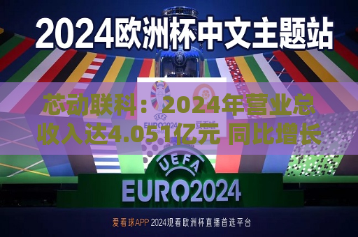 芯动联科：2024年营业总收入达4.051亿元 同比增长27.76%  第1张