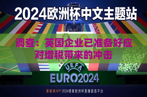 调查：英国企业已准备好应对增税带来的冲击
