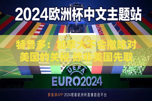 特鲁多：加拿大不会撤除对美国的关税 除非美国先取消所有关税