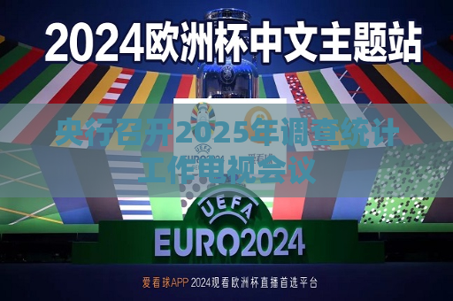 央行召开2025年调查统计工作电视会议