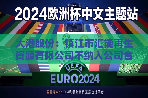大港股份：镇江市汇能再生资源有限公司不纳入公司合并报表