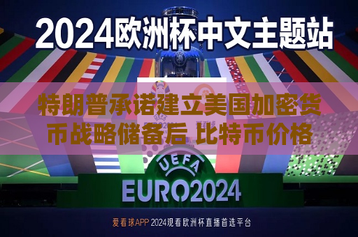 特朗普承诺建立美国加密货币战略储备后 比特币价格上涨