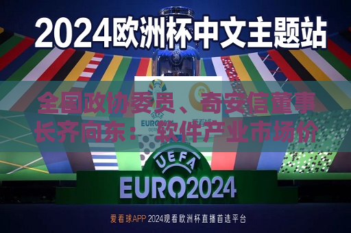 全国政协委员、奇安信董事长齐向东： 软件产业市场价值被严重低估 安全企业正抱团“出海”