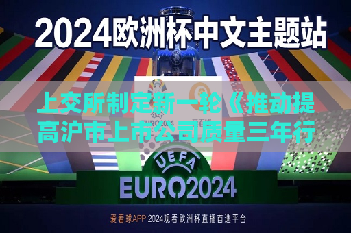上交所制定新一轮《推动提高沪市上市公司质量三年行动计划》  进一步提升财务造假线索发现能力