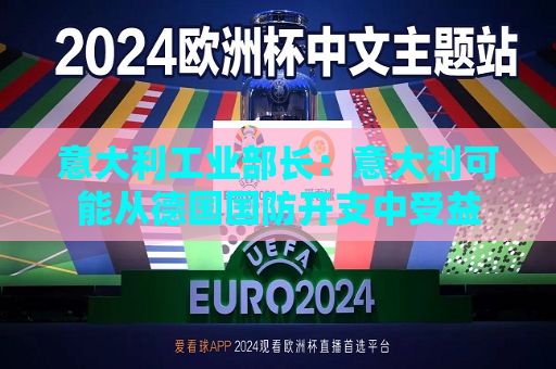 意大利工业部长：意大利可能从德国国防开支中受益