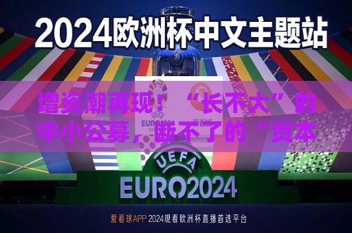 增资潮再现！“长不大”的中小公募，断不了的“资本脐带”